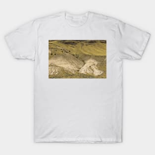 Rising Out Of The Landscape - 1 © T-Shirt